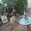 NYPD: This Man In A Helmet Stole Two Birds From A Home